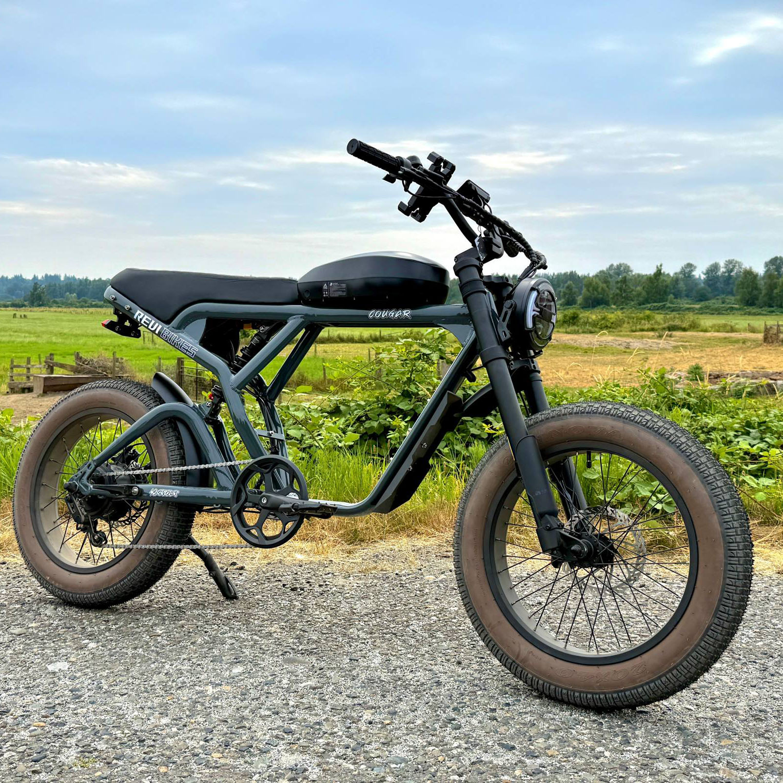 OEM Super Electric Mountain Bi - Mountain Biking Sport ulasan dan harga